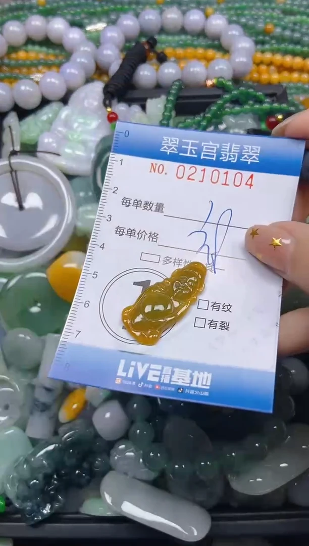 颈饰未镶嵌翡翠闪购C0210104