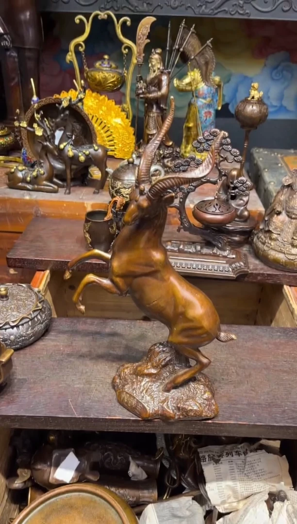 B瑞瑞专属高端精品206