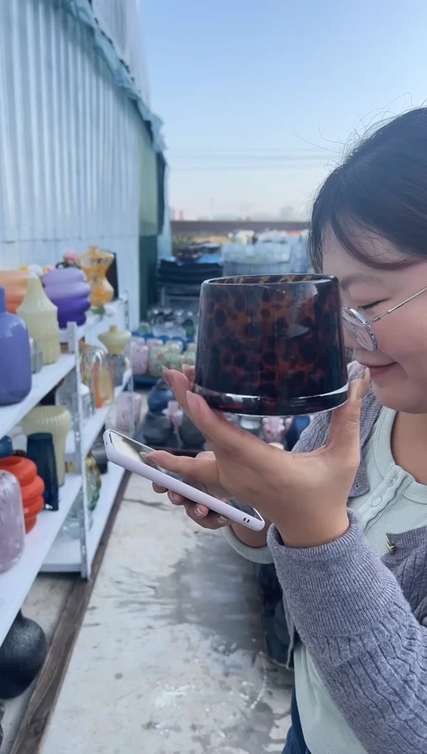 花瓶客厅餐桌插花装饰好物一只