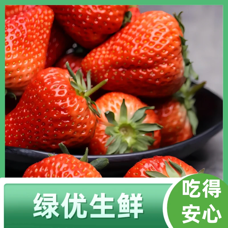 散称丹东红颜草莓约500g99红颜