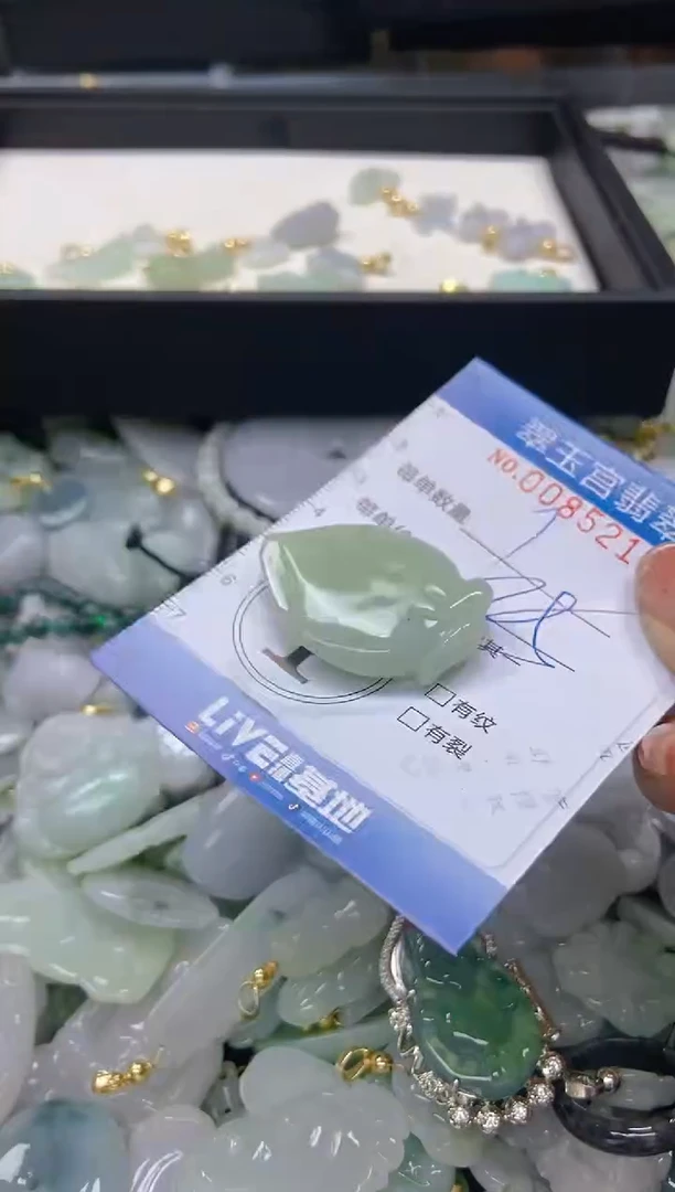 【闪购商品】翡翠颈饰未镶嵌闪购0085217