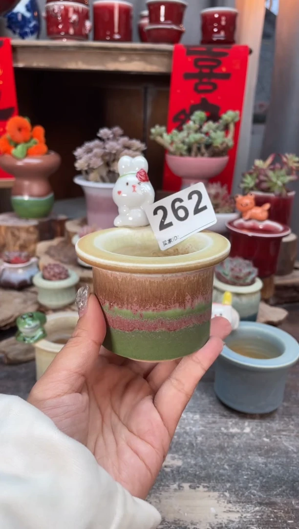 【闪购商品】摆件262知木小芳花盆