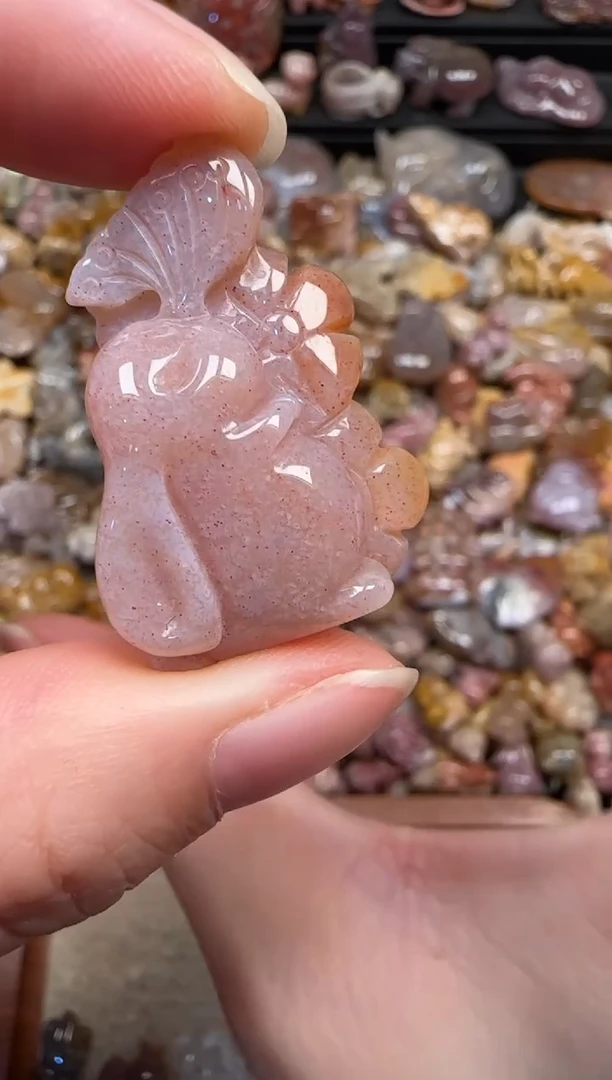 颈饰未镶嵌硅化珊瑚（珊瑚玉）328