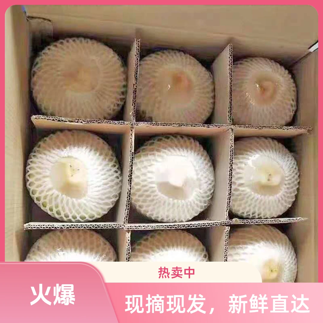 海南椰青果园直发削皮椰青9个装送开椰器和吸管现摘现发孕妈水果