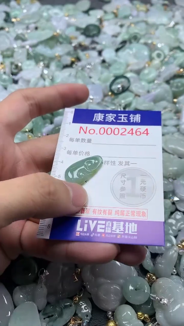 颈饰未镶嵌翡翠2464