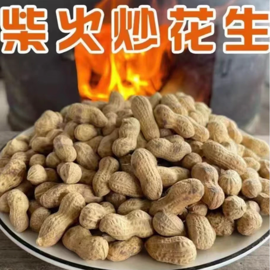 (农家柴火花生）农村大铁锅柴火炒花生原味花生带壳