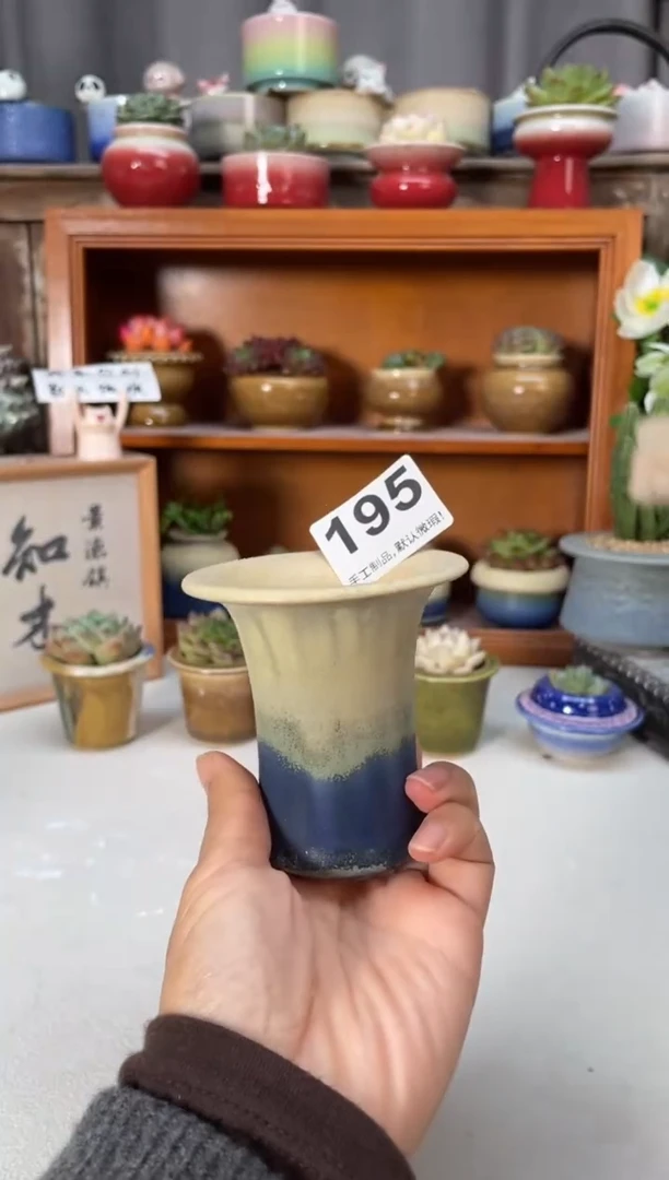 瓷片195知木小芳花盆直播编号