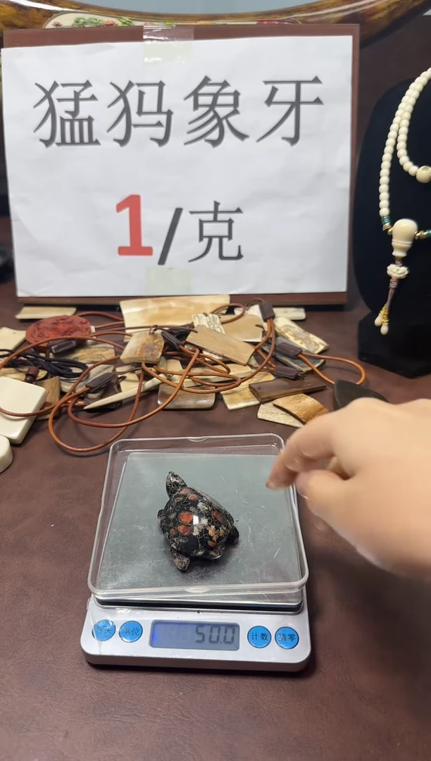 猛犸梅花玉小乌龟