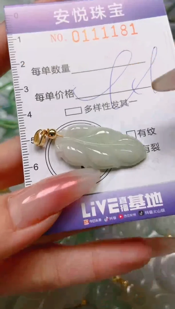 【闪购商品】翡翠颈饰未镶嵌闪购0111181