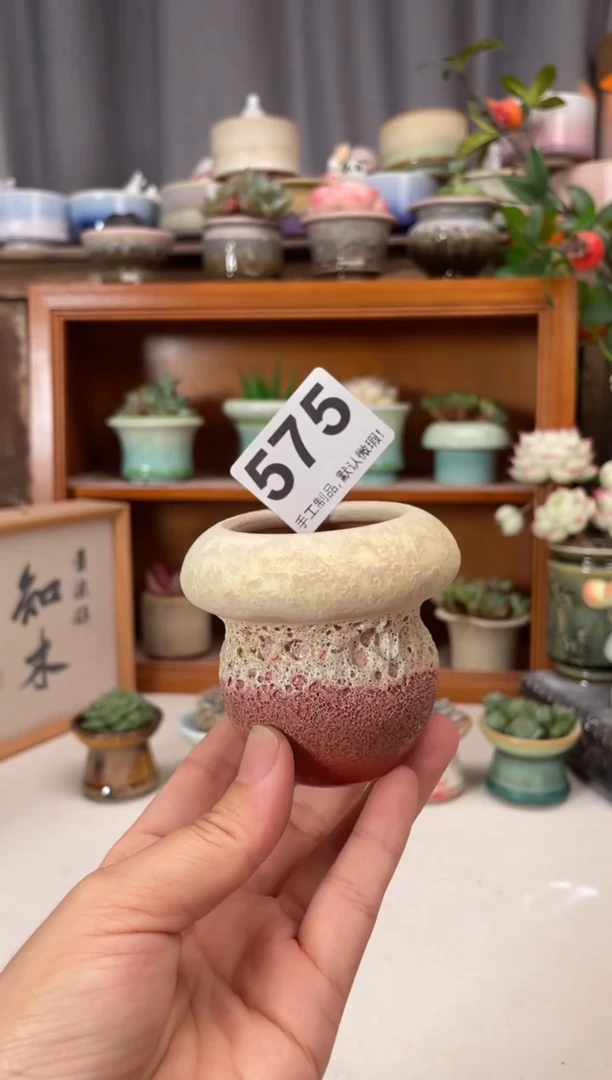 瓷片575知木小芳花盆直播编号