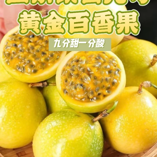 土楼金银山-正宗钦密九号黄金百香果-产地直发-当季新鲜-坏果包赔