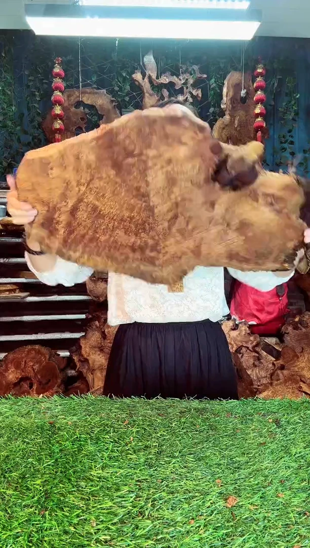 香杉木香衫树根榴18