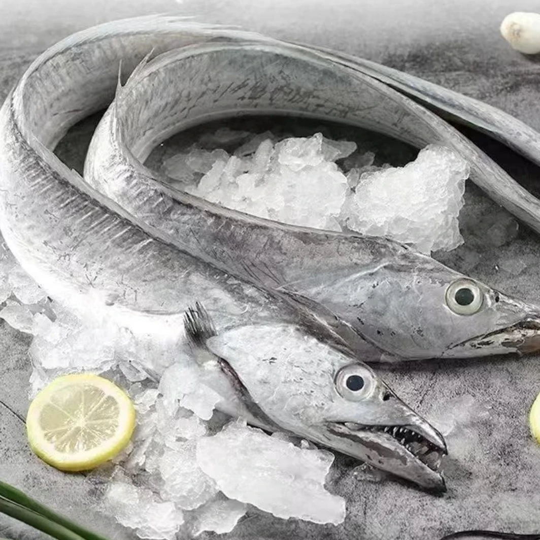 【蟹蟹】小眼鲜带鱼 纯正东海野生带鱼 肉质细嫩满口油香