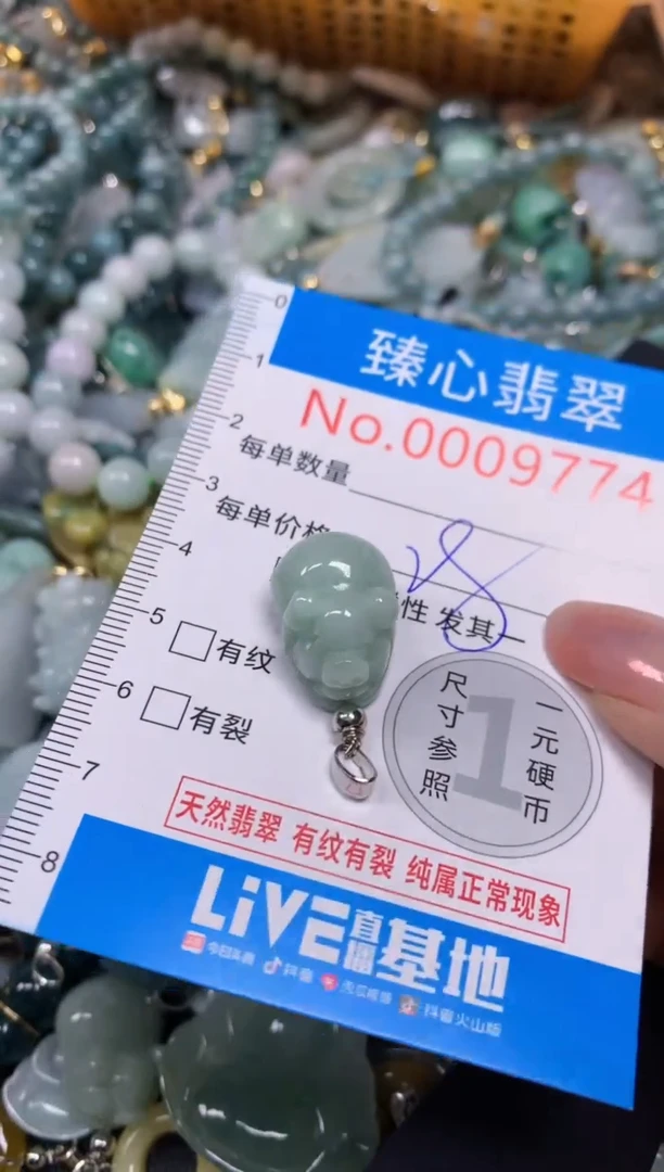【闪购商品】翡翠颈饰未镶嵌含绳0009774