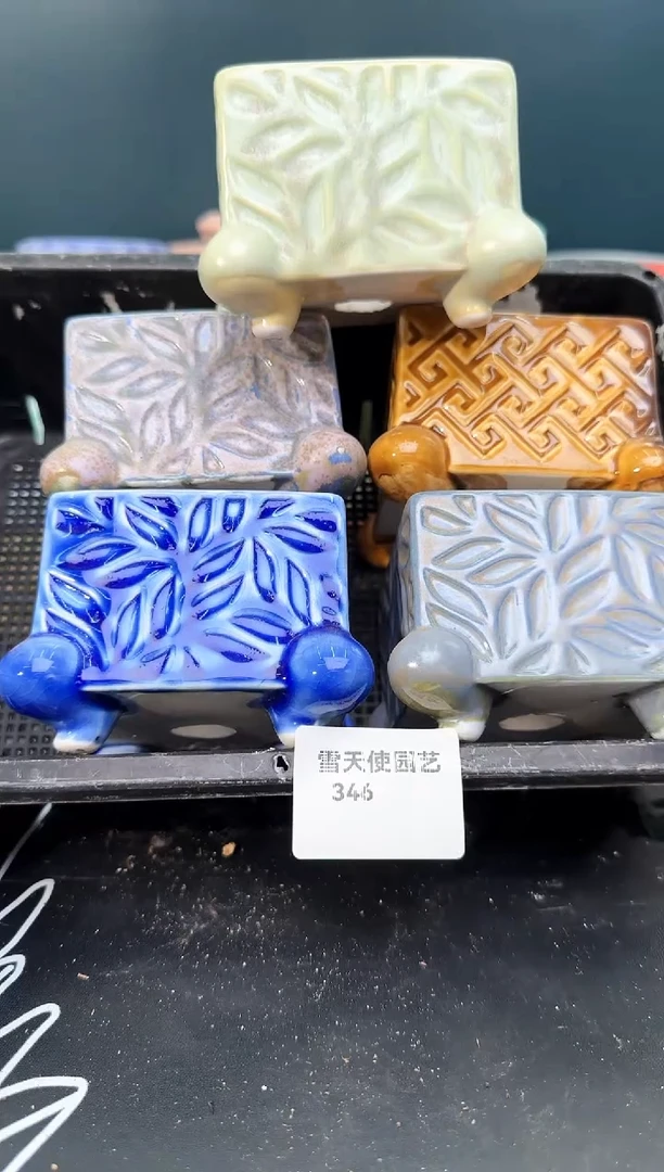 3 46 小蛙腿盆 5 个默认微瑕