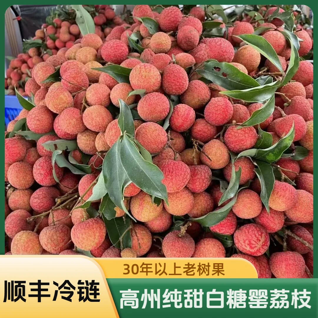 【5斤装顺丰冷链】广东茂名高州白糖罂纯甜荔枝当季新鲜水果包邮