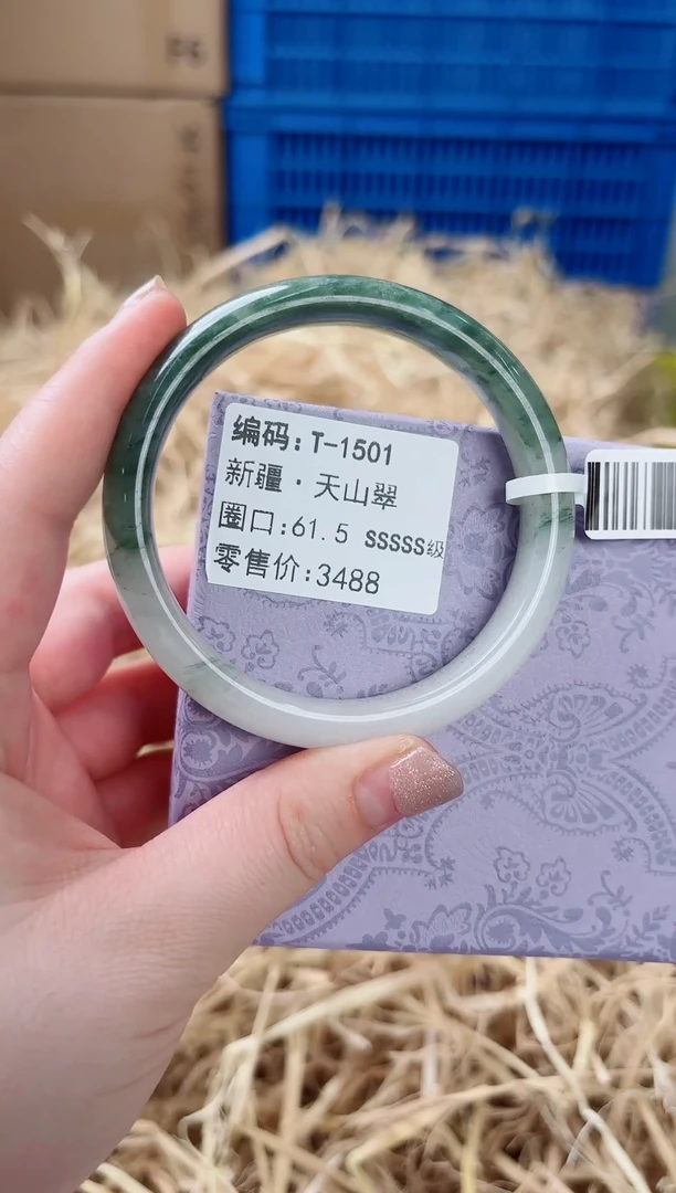 未镶嵌手镯石英质玉T-1501