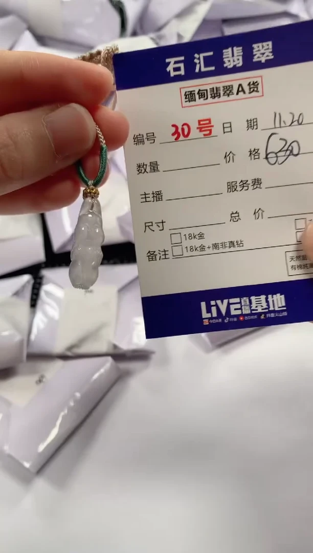 颈饰未镶嵌翡翠1