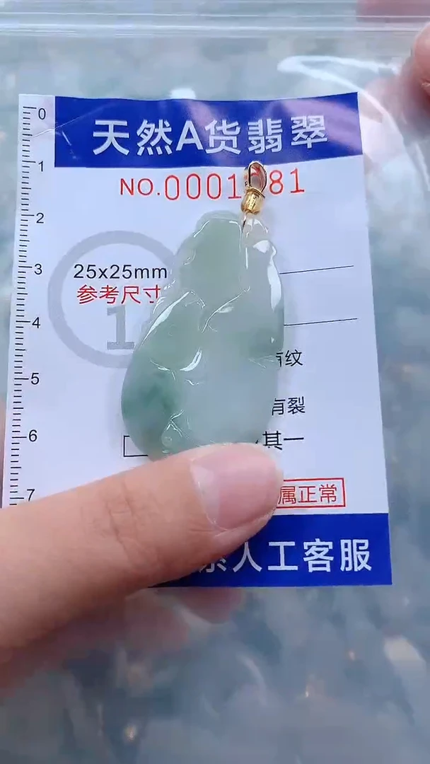 翡翠未镶嵌吊坠(不含链)1
