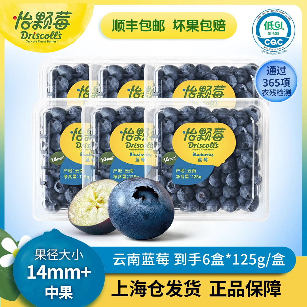 Driscoll's/怡颗莓云南花香蓝莓中果(14mm+)125g/盒*2盒/6盒 DR