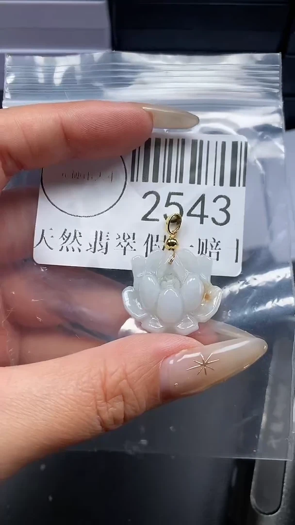 颈饰未镶嵌翡翠2543