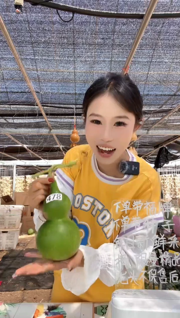 478天然葫芦摆件 一物一拍龙头不保售后