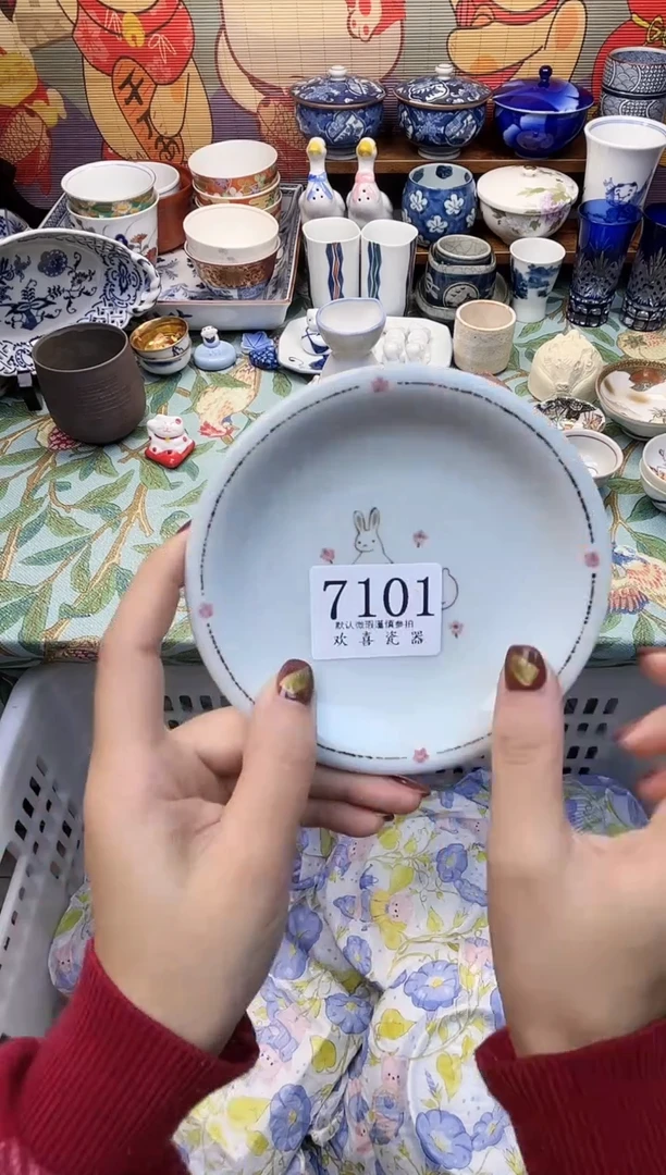 瓷片猪****d           7101