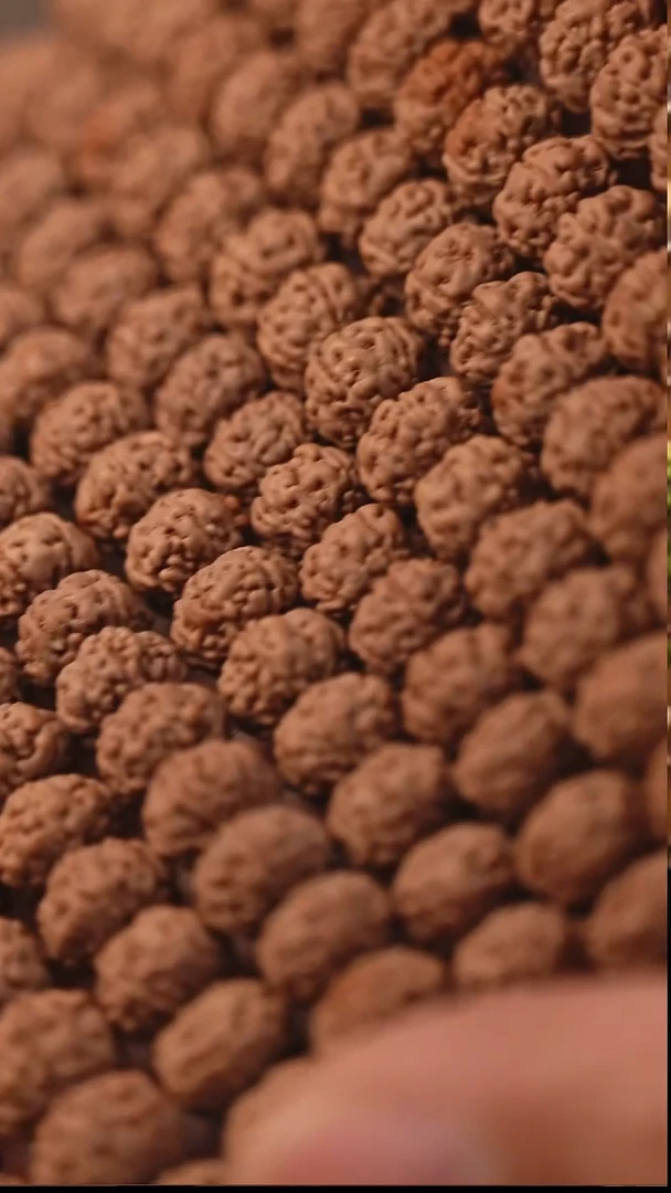 手串金刚菩提S15树王籽