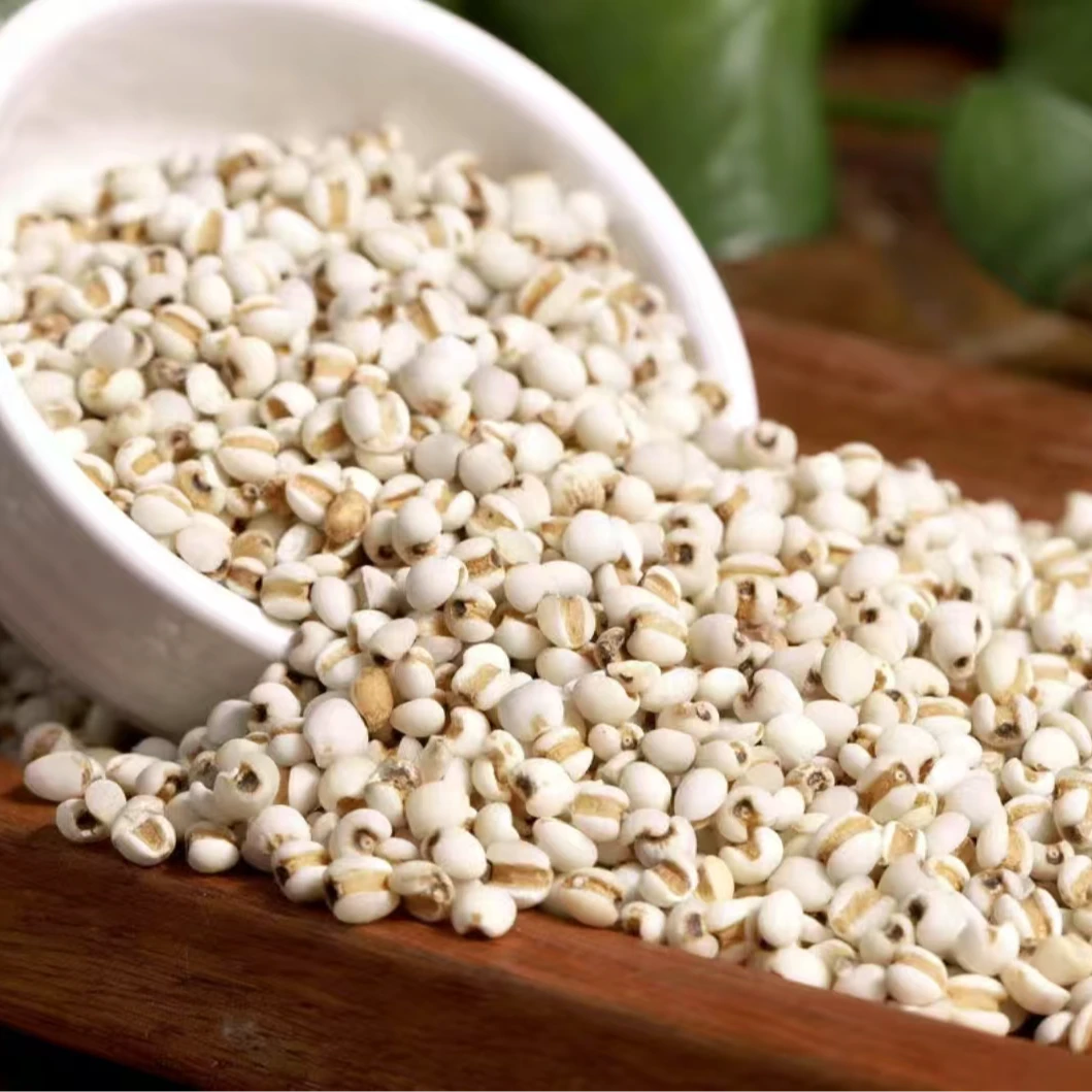 1飞飞专属  薏仁米  正宗云南野山货