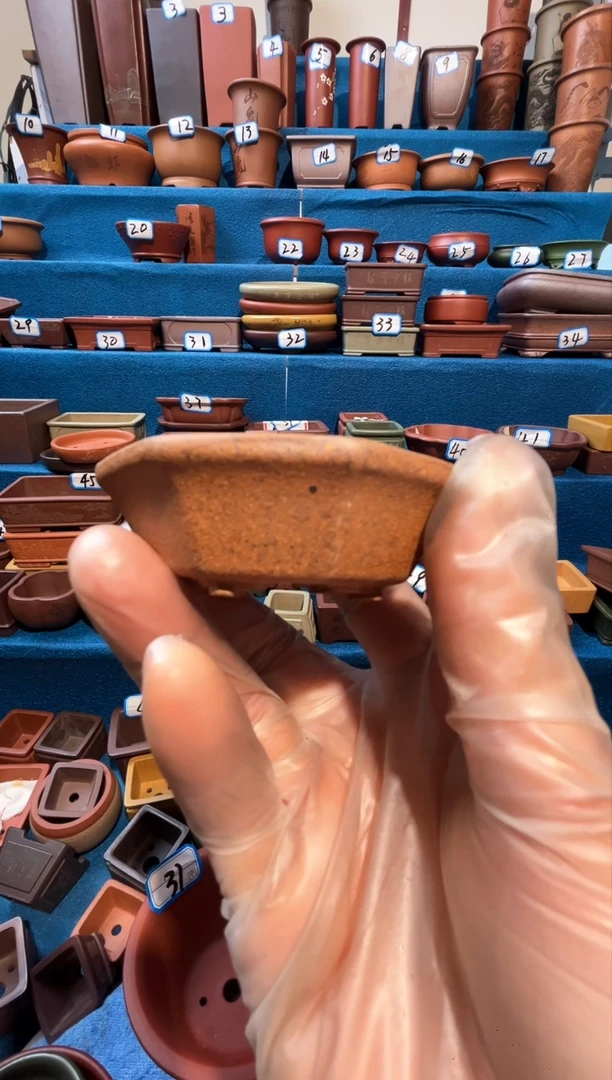 【闪购商品】紫砂紫砂花盆5只