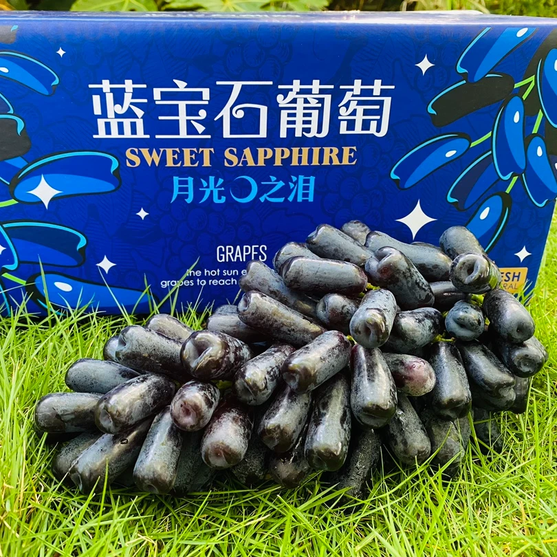 【特级蓝宝石】云南大理宾川蓝宝石葡萄无籽鲜水果当季热卖顺丰邮政