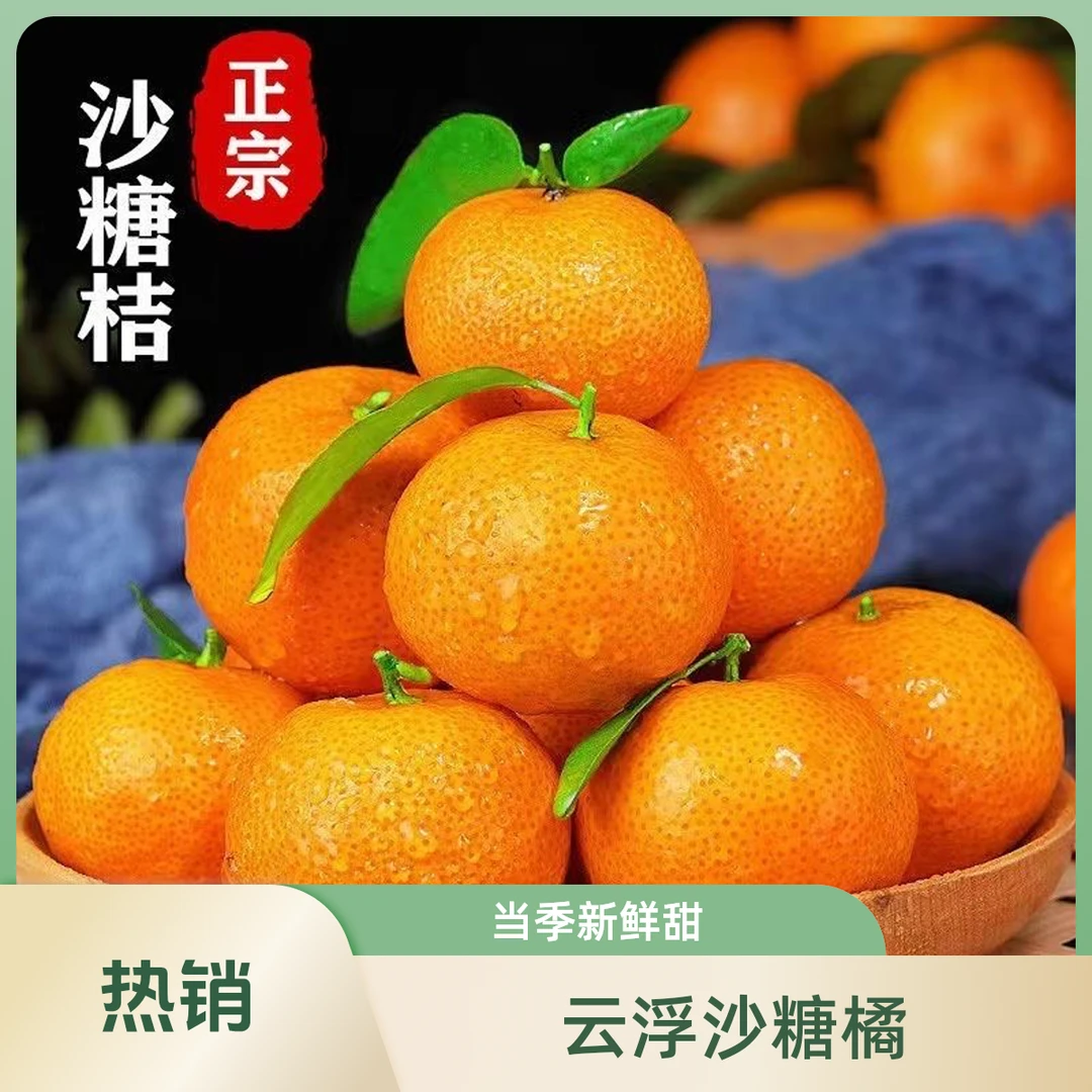 【年终大促】5斤沙糖桔果场发货自家果园不甜包退广东云浮顺丰包邮砂糖橘沙糖桔