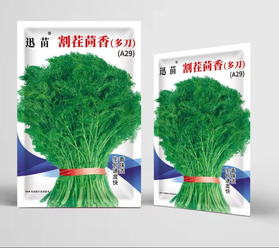 （全店满5元包邮）茴香菜种籽蔬菜种子孑小茴香菜种子（500粒）