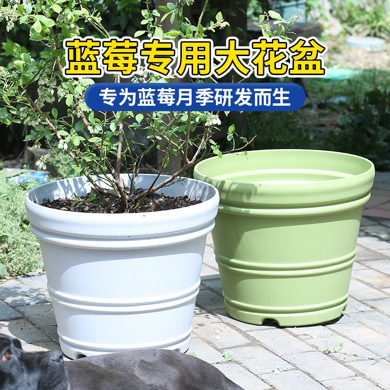 超大号蓝莓专用盆蓝莓种植专用盆加厚透气控根树脂花盆月季果树盆