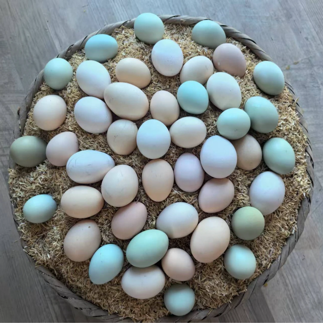 五彩蛋来了（绿壳粉壳混装），30枚仅需29.9元，大英城区内免配送！