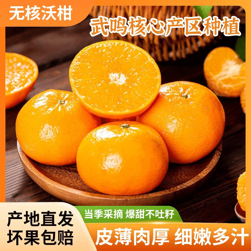 【正宗广西】武鸣091无核沃柑新鲜发货 皮薄肉厚 饱满汁多 坏果包赔