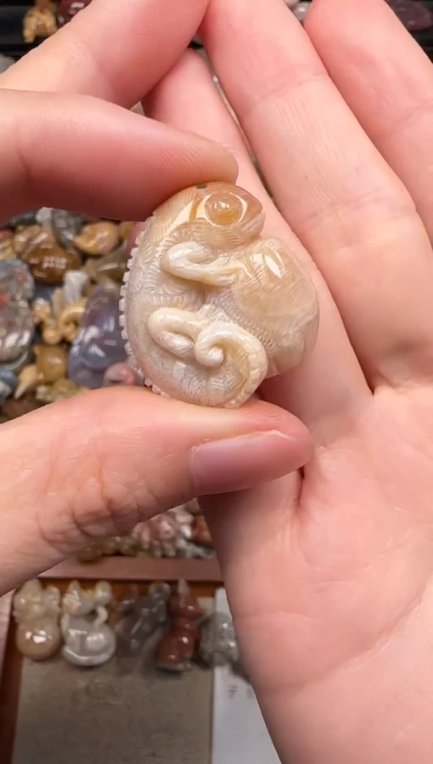 硅化珊瑚（珊瑚玉）未镶嵌颈饰768