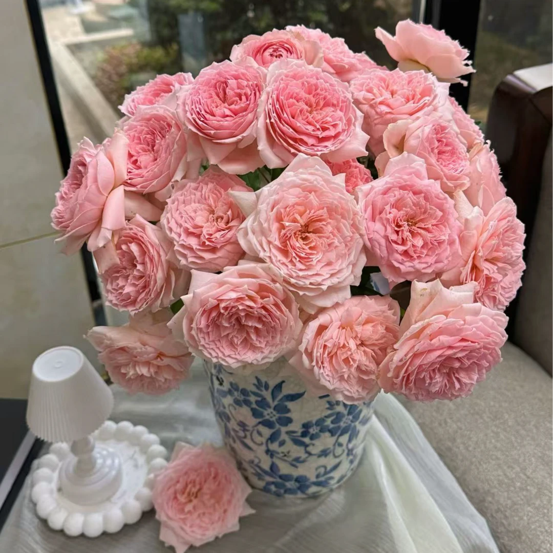 【陌上花开】多头仁爱公主-多头玫瑰（请注意带包装醒花哦~）