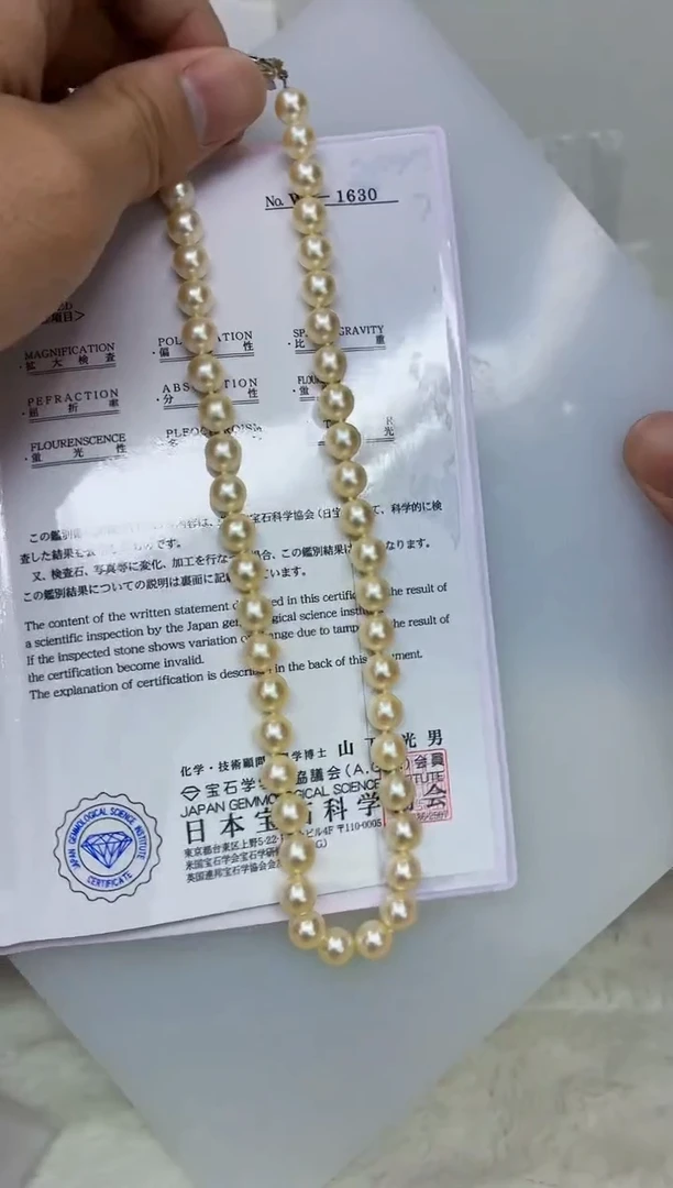 未镶嵌DA海水珍珠羽皇金串链带证7-8 y1012