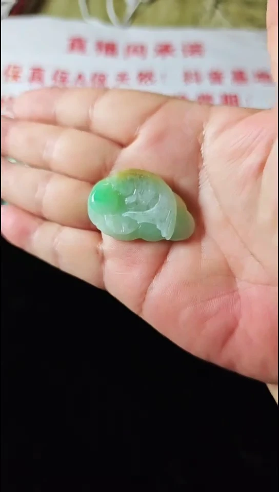 颈饰未镶嵌翡翠A13