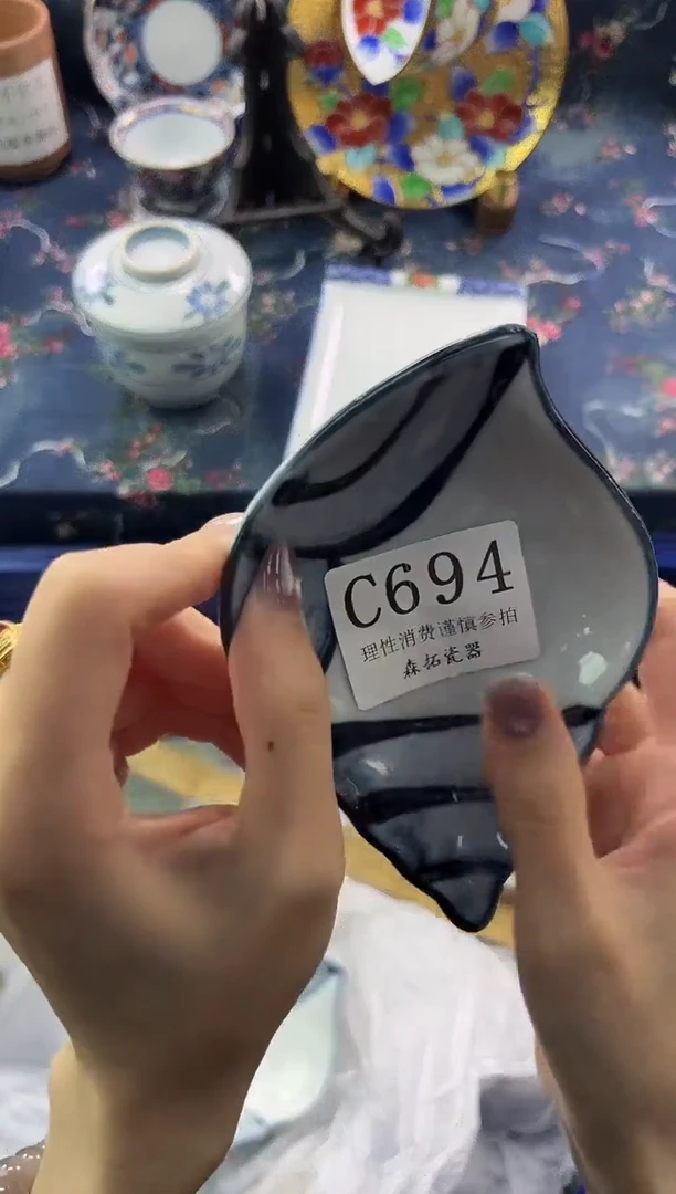 瓷片          C694