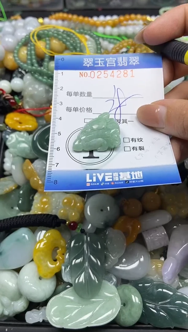 颈饰未镶嵌翡翠闪购C0254281