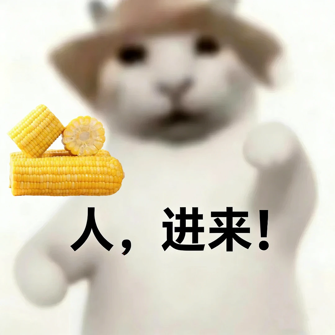 「新疆直发」知春寒有机绿色黄糯玉米棒真空非转基因盼小盼大棒法式