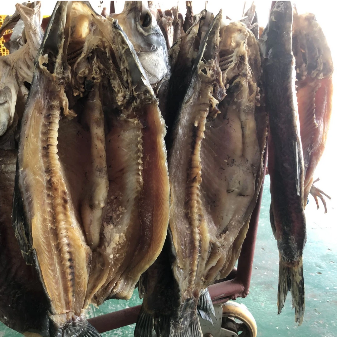 盐城步凤特产风干咸鱼螺丝青鱼