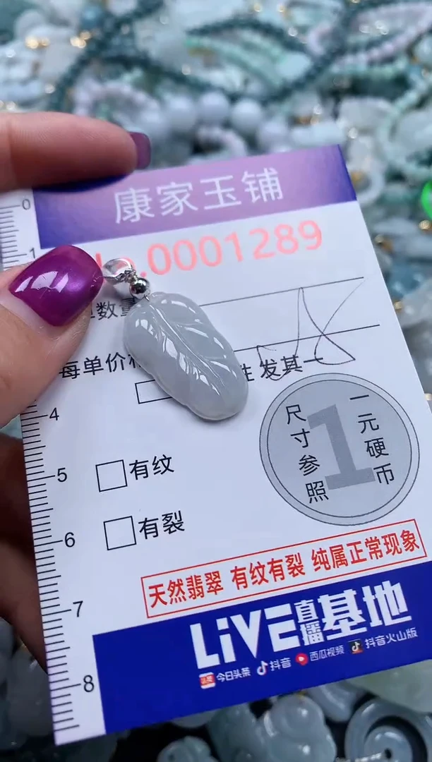 颈饰未镶嵌翡翠1289