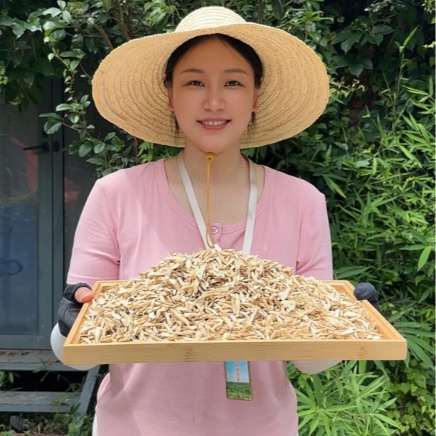 老乡自家黄芪农家无硫黄芪片可泡水煲汤的滋补中药材