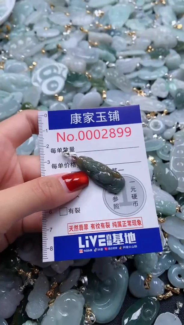 翡翠未镶嵌吊坠(不含链)2899