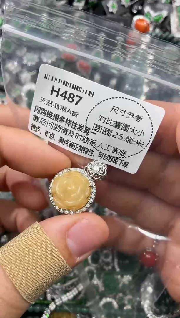 颈饰未镶嵌翡翠H487吊坠