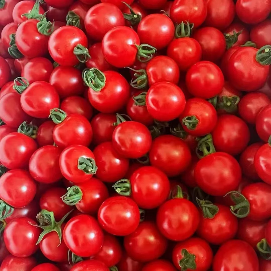 粉玉小番茄香甜爆汁-净重3斤