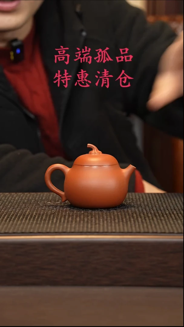 茶壶紫砂刺*紫砂源头精品手工作品7979